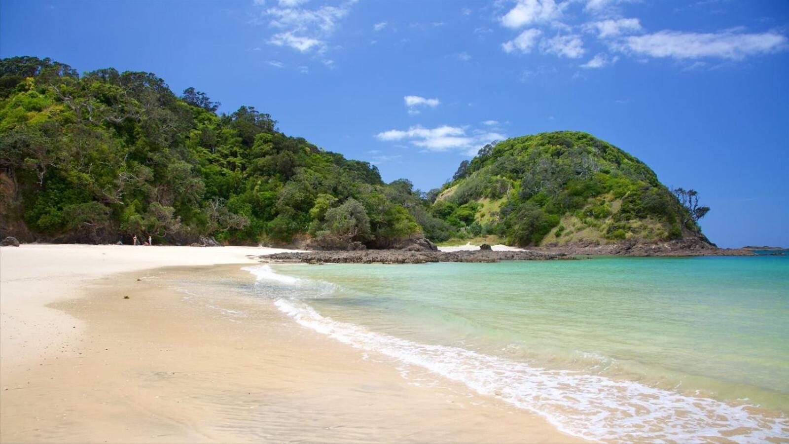 Bk'S Pohutukawa Lodge Whangarei Eksteriør bilde